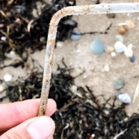 Straws_Why1 Straws_Why1