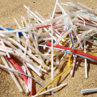 Straws_Why3 Straws_Why3